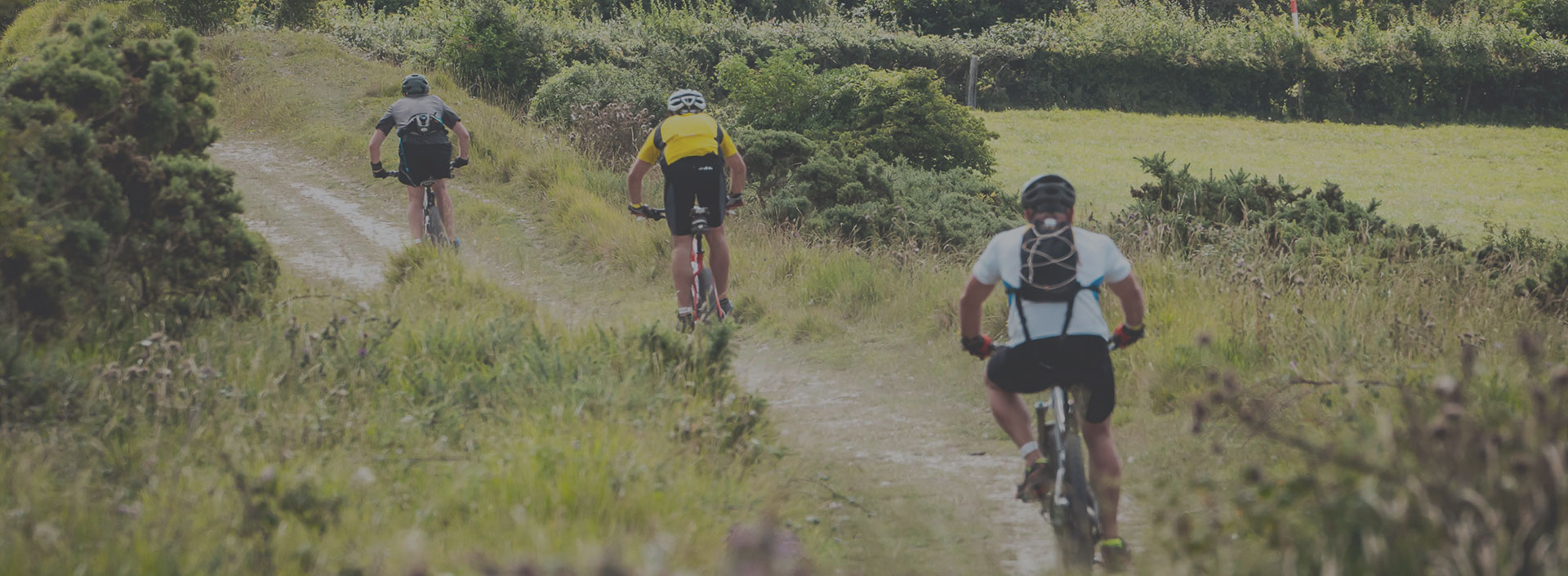 mtb trails dorset