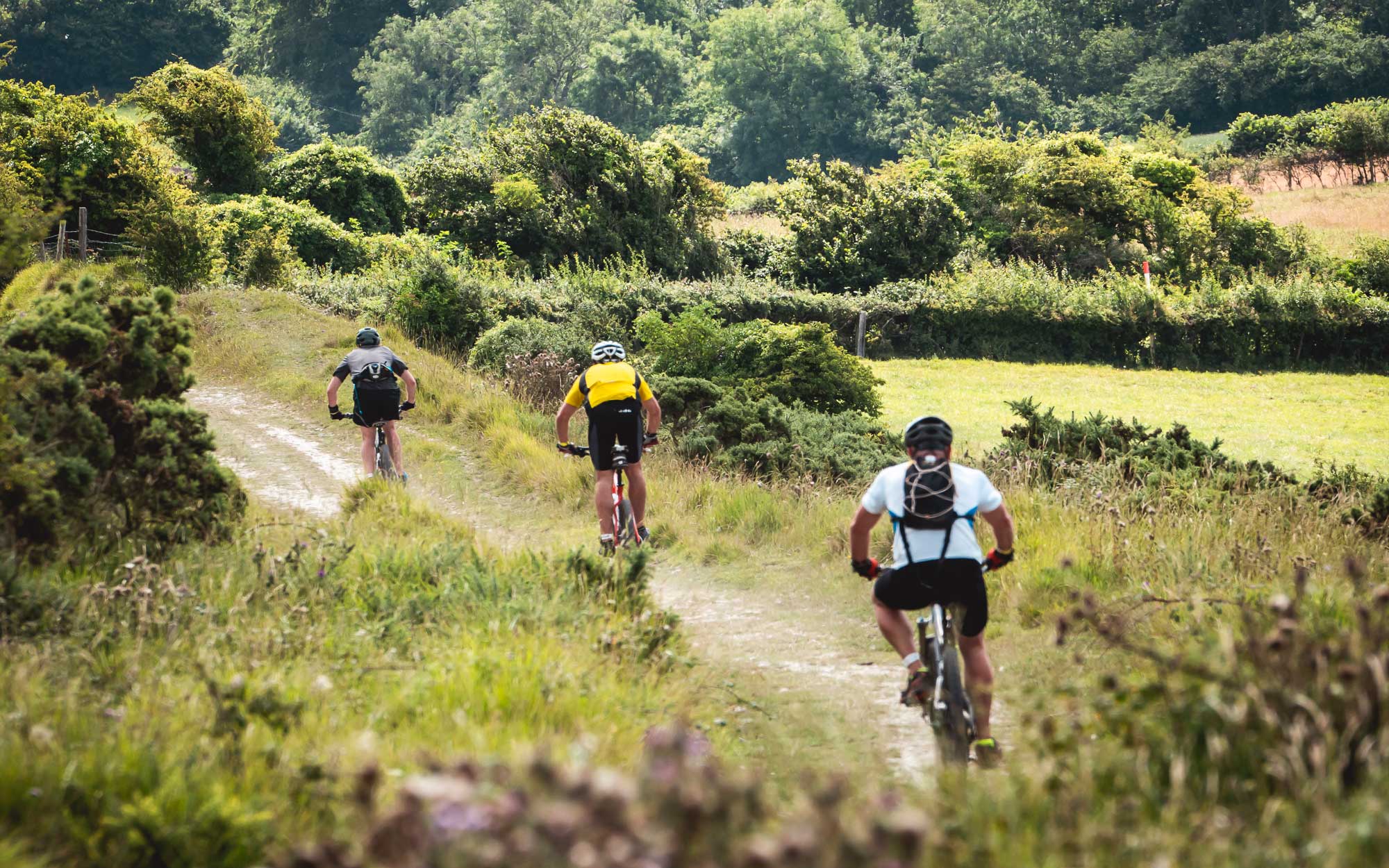 Llys-Y-Fran-Mountain-Biking-3